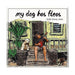 Arlie - Avery Asiu, My Dog Has Fleas CD - CD - Leilanis Attic