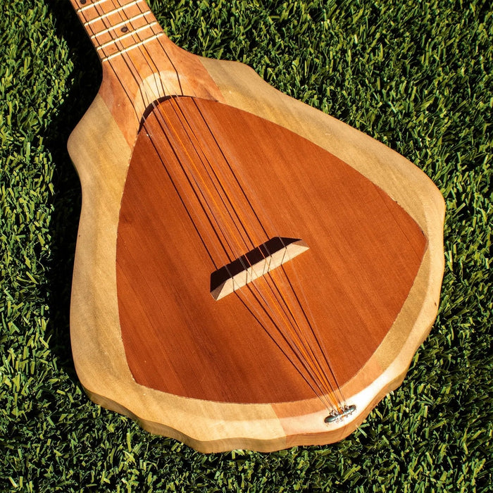 Asonu Tahitian Sea Shell Ukulele - Ukulele - Leilanis Attic