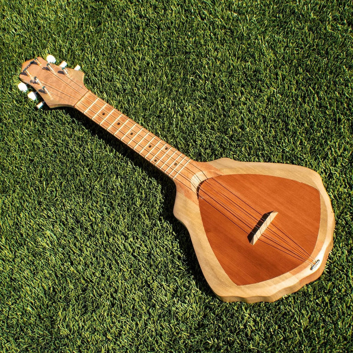 Asonu Tahitian Sea Shell Ukulele - Ukulele - Leilanis Attic