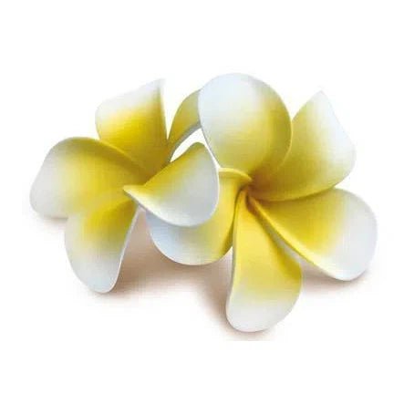 Double Plumeria Foam Hair Clip, Yellow & White - Hair Accessories - Leilanis Attic