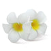 Foam Double Plumeria Hair Clip White & Yellow - Hair Accessories - Leilanis Attic