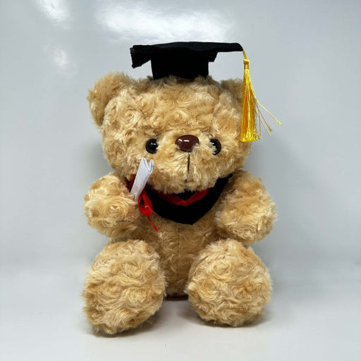 Graduation Teddy Bears w/ Box - Graduation - Leilanis Attic