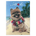 Greeting Card "Chewy Aloha" - Greeting Card - Leilanis Attic