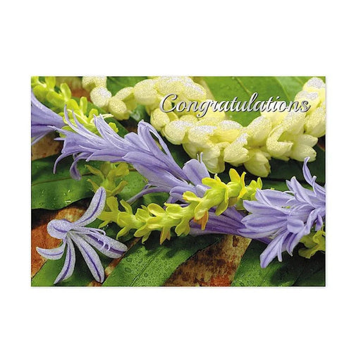 Greeting Card, Congratulations "Lei Assortment" - Greeting Card - Leilanis Attic