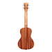 Kala Satin Mahogany Concert Ukulele - Ukulele - Leilanis Attic