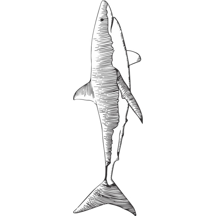 Laser Engraved Shark Sketch Flask - Flask - Leilanis Attic