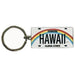 Metal License Plate Keychain, various designs - Keychain - Leilanis Attic