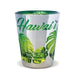 Monstera Hawaii Shot Glass - Household Goods - Leilanis Attic