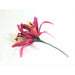 Spider Lily Hair Picks - Hair Accessories - Leilanis Attic