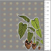 Taro Plant Sticker - sticker - Leilanis Attic