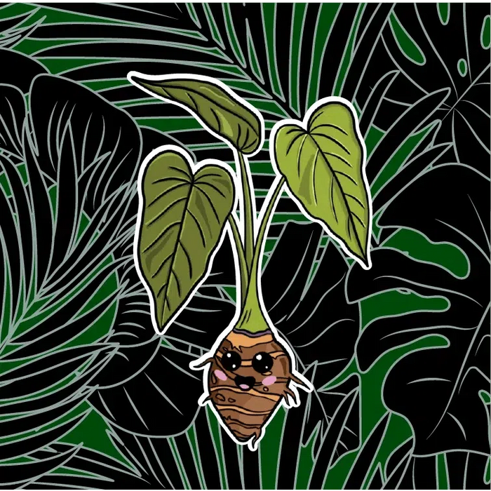 Taro Plant Sticker - sticker - Leilanis Attic