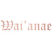 Waianae Sticker - Sticker - Leilanis Attic